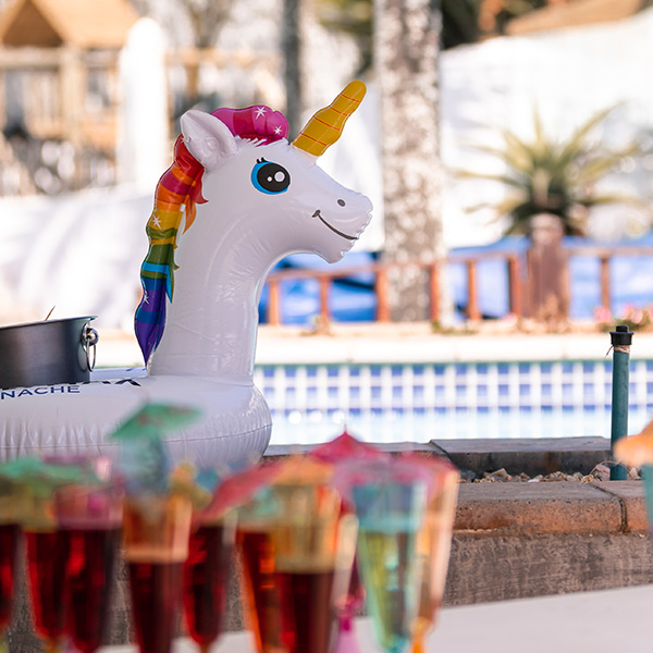 IMG_5778 Beach Wedding Umhlanga